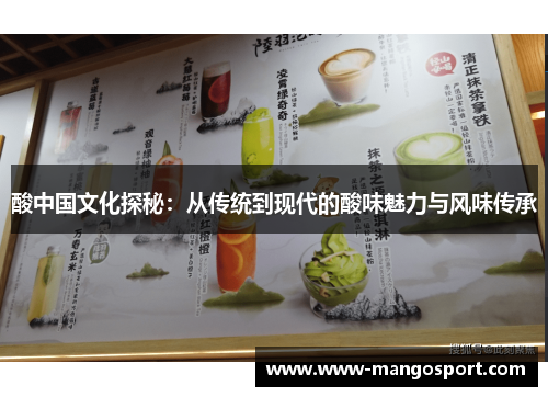 酸中国文化探秘：从传统到现代的酸味魅力与风味传承