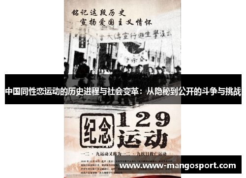 中国同性恋运动的历史进程与社会变革：从隐秘到公开的斗争与挑战