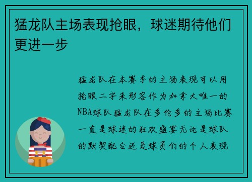 猛龙队主场表现抢眼，球迷期待他们更进一步